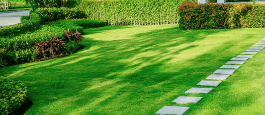 6 SIMPLE TIPS FOR KEEPING YOUR GRASS GREEN DURING THE SUMMER MONTHS - GuanoBoost