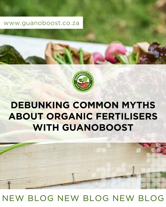 Debunking Common Myths About Organic Fertilisers with GuanoBoost