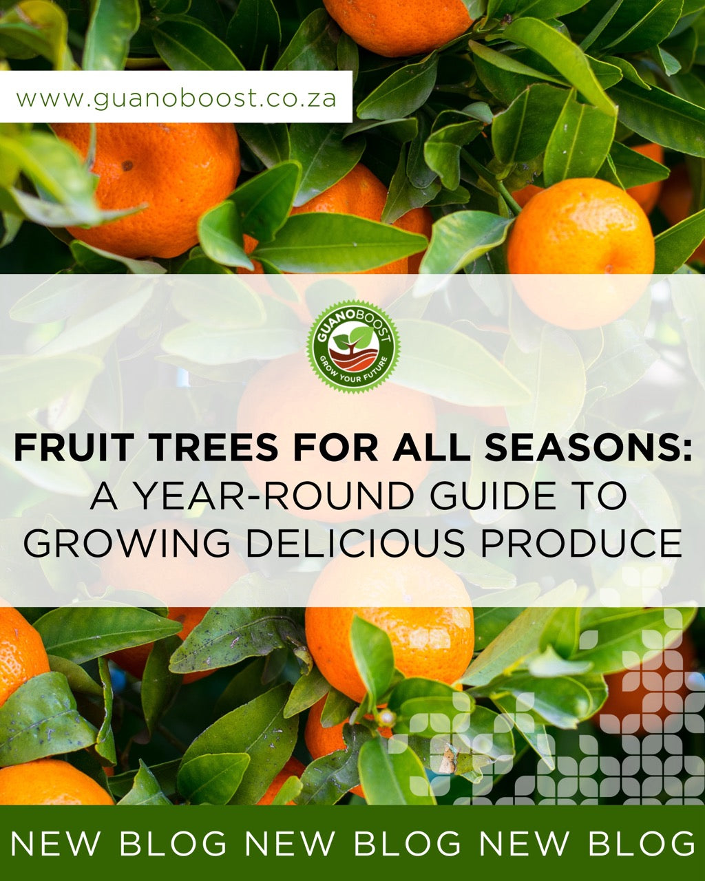 Fruit Trees for All Seasons: A Year-Round Guide to Growing Delicious Produce