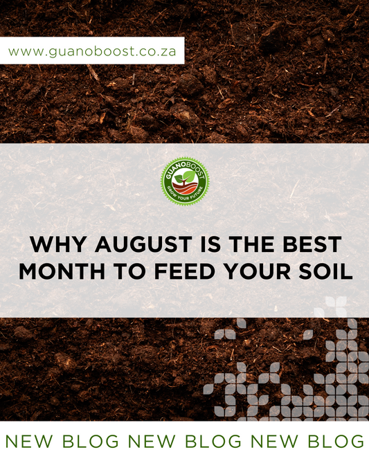 Why August is the Best Month to Feed Your Soil
