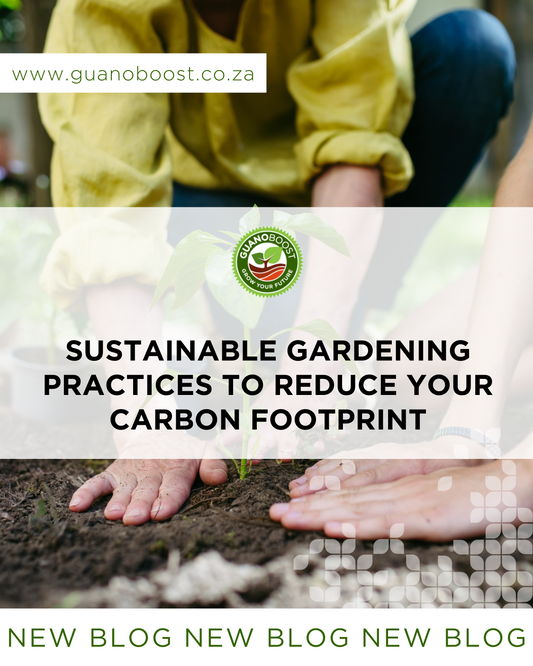 Sustainable Gardening Practices to Reduce Your Carbon Footprint