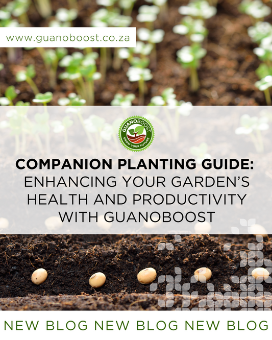 Companion Planting Guide: Enhancing Your Garden's Health and Productivity with GuanoBoost