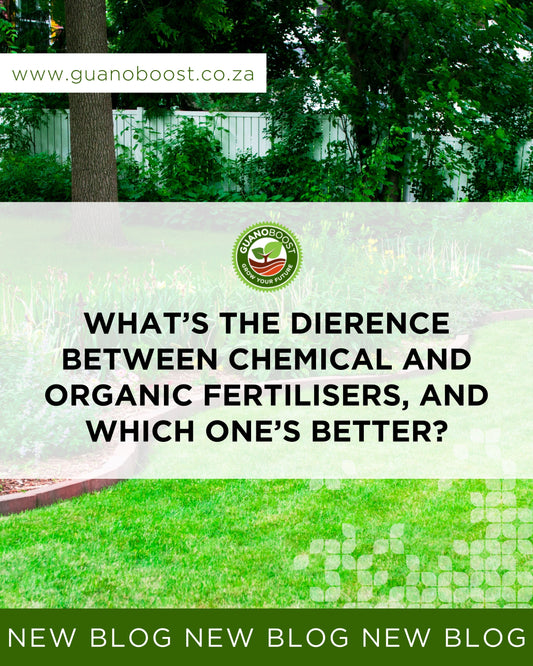 What’s the Difference Between Chemical and Organic Fertilisers, and Which One’s Better?