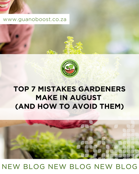 Top 7 Mistakes Gardeners Make in August (and How to Avoid Them)
