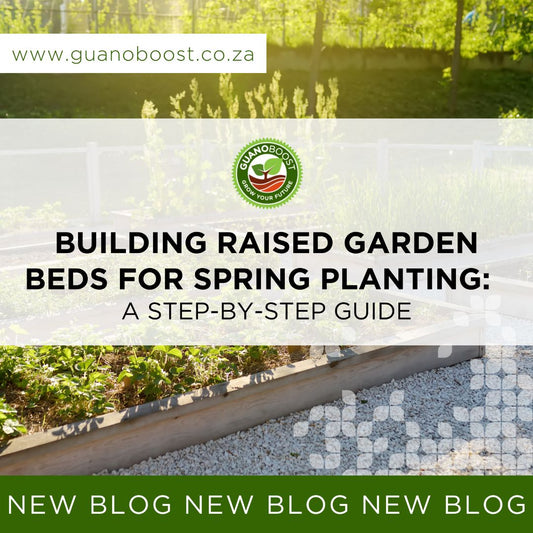 Building Raised Garden Beds for Spring Planting: A Step-by-Step Guide