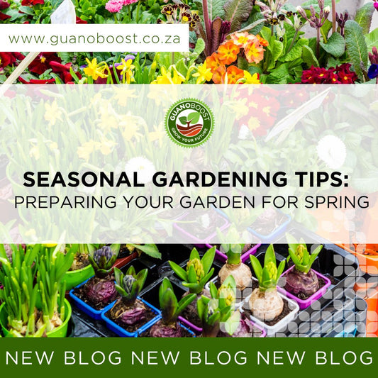 Seasonal Gardening Tips: Preparing Your Garden for Spring