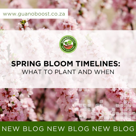 Spring Bloom Timelines: What to Plant and When