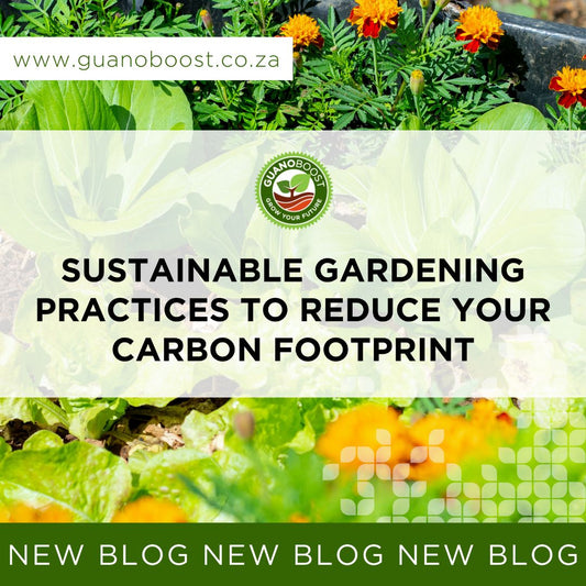 Sustainable Gardening Practices to Reduce Your Carbon Footprint