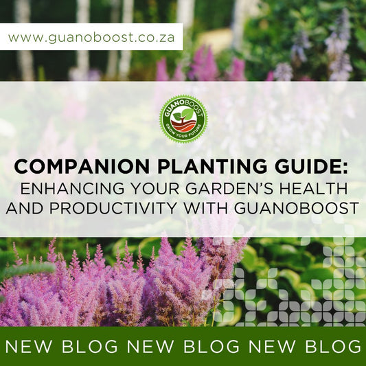 Companion Planting Guide: Enhancing Your Garden’s Health and Productivity with GuanoBoost