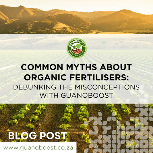 Debunking Common Myths About Organic Fertilisers with GuanoBoost - GuanoBoost