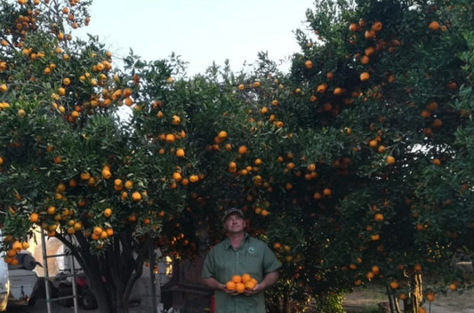 Farming for our future. - GuanoBoost
