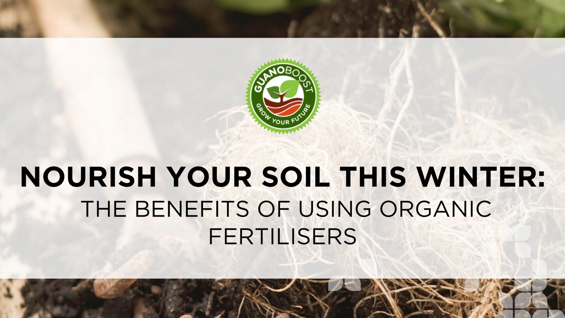 Nourish Your Soil This Winter: The Benefits of Using an Organic Fertiliser