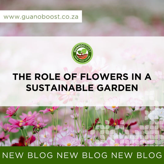 The Role of Flowers in a Sustainable Garden