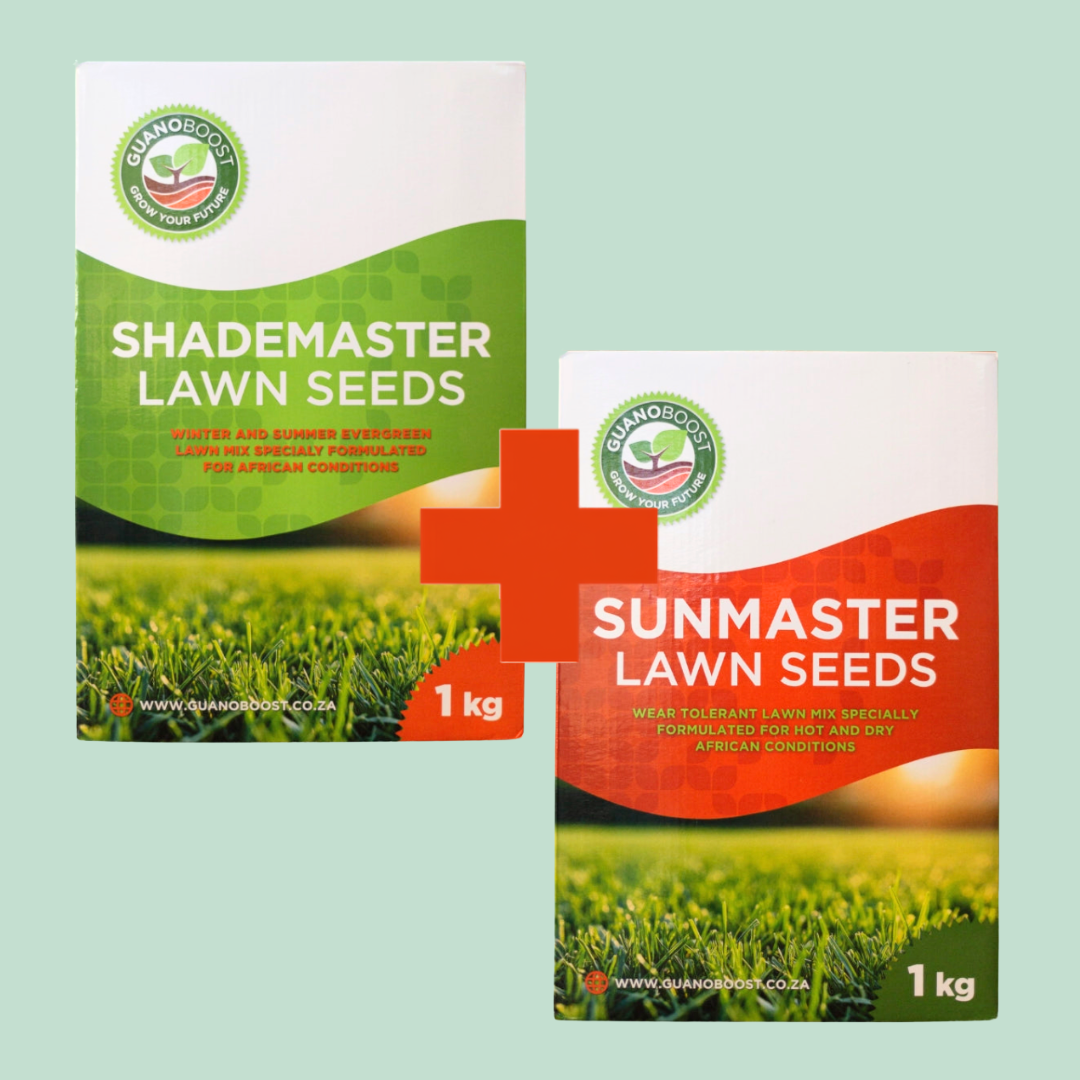 Lawn Seed Bundle