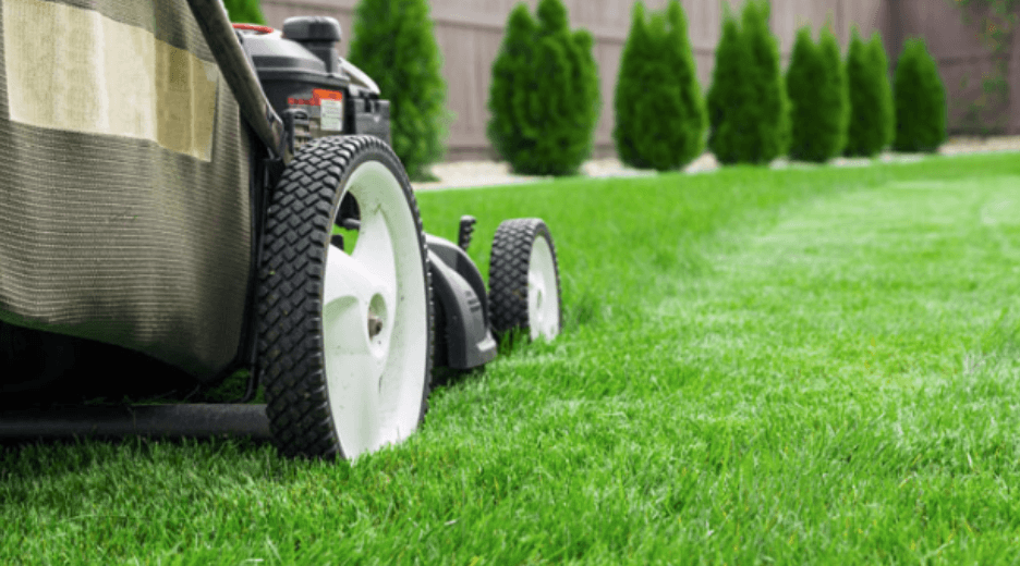 10 EASY WAYS TO IMPROVE YOUR LAWN - GuanoBoost