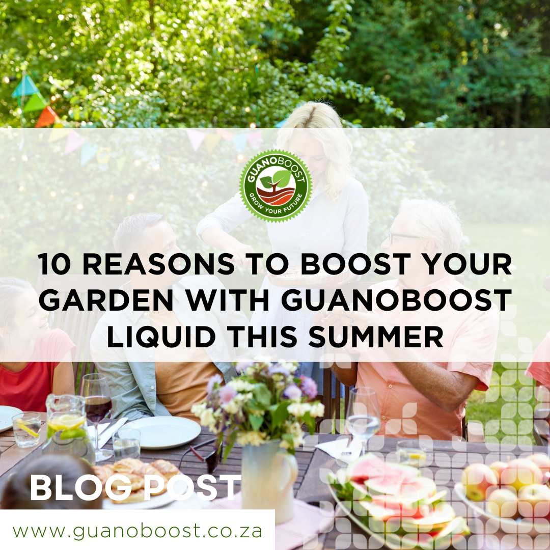 10 Reasons to Boost Your Garden with GuanoBoost Liquid This Summer - GuanoBoost