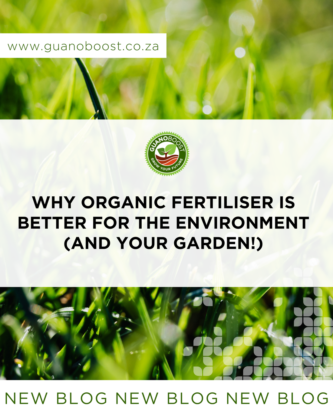 Why Organic Fertiliser Is Better for the Environment (And Your Garden!)