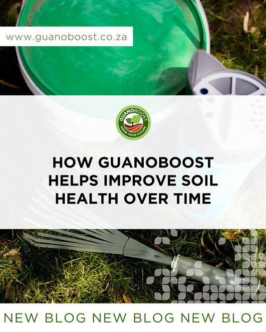How GuanoBoost Helps Improve Soil Health Over Time