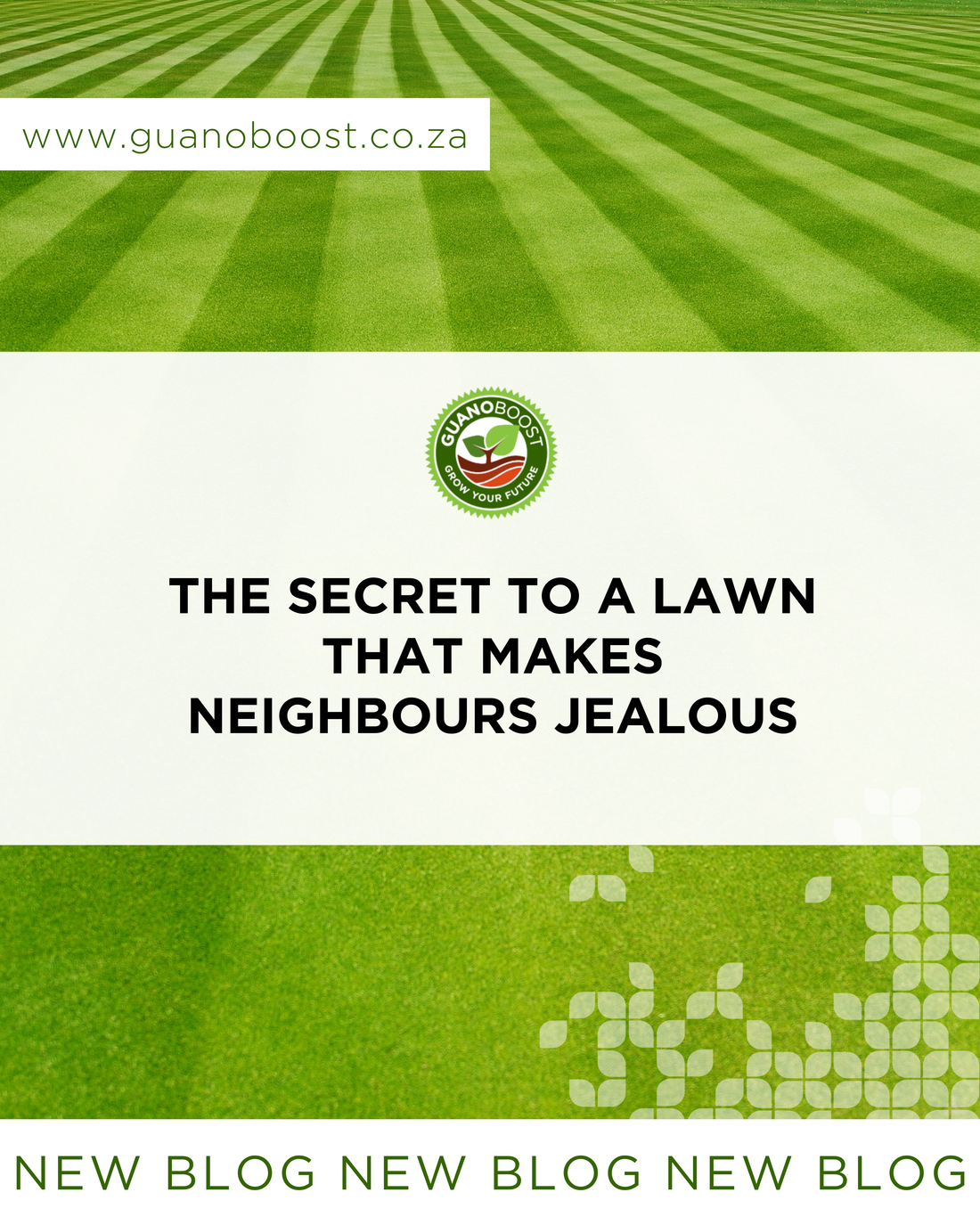 The Secret to a Lawn That Makes Neighbours Jealous