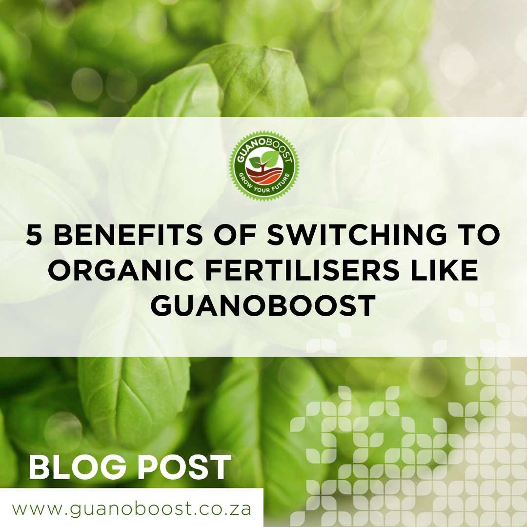 5 Benefits of Switching to Organic Fertilisers like GuanoBoost - GuanoBoost