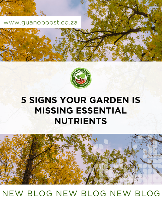 5 Signs Your Garden Is Missing Essential Nutrients