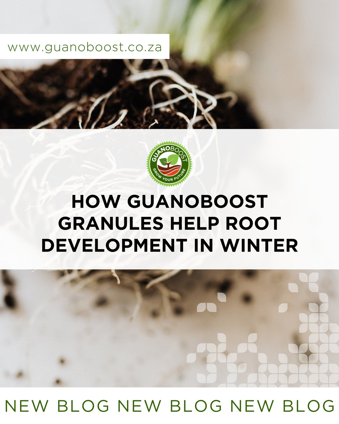 How GuanoBoost Granules Help Root Development in Winter