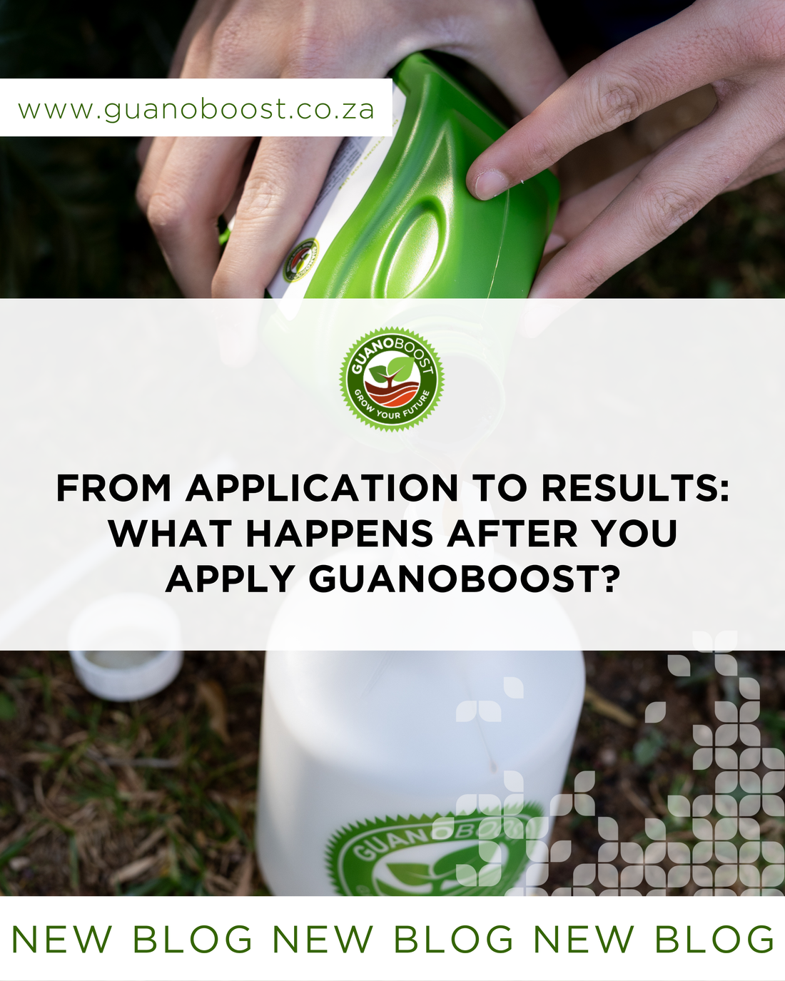 From Application to Results: What Happens After You Apply GuanoBoost?