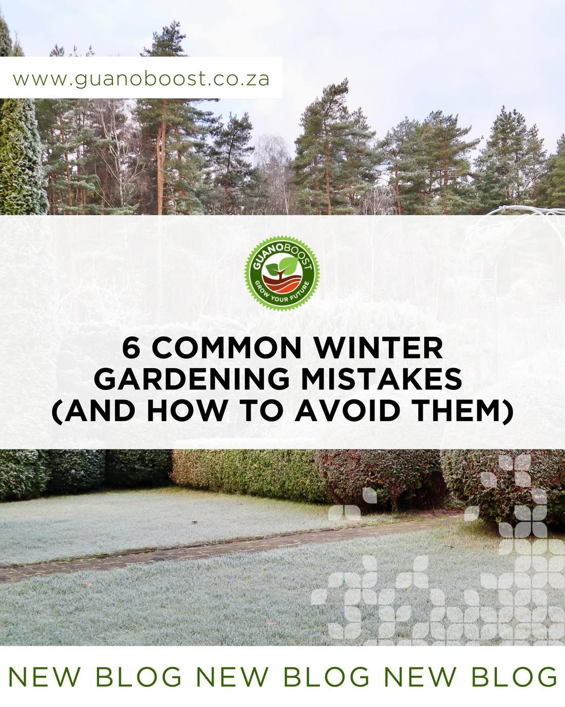 6 Common Winter Gardening Mistakes (And How to Avoid Them)
