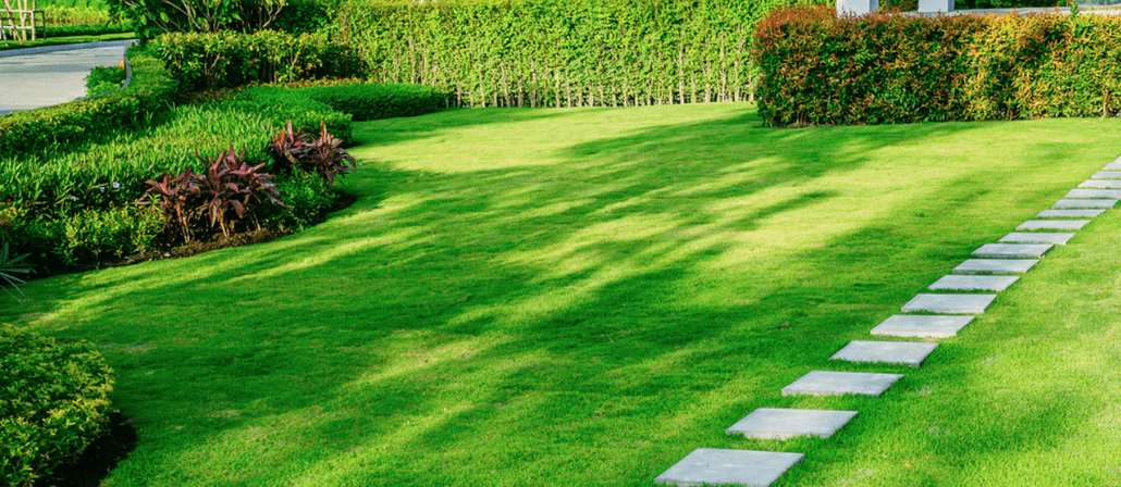 6 SIMPLE TIPS FOR KEEPING YOUR GRASS GREEN DURING THE SUMMER MONTHS - GuanoBoost