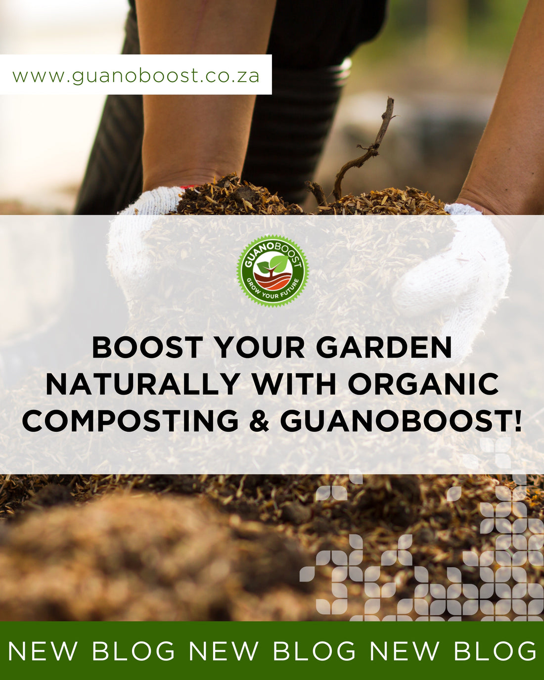 Boost Your Garden Naturally with Organic Composting & GuanoBoost!
