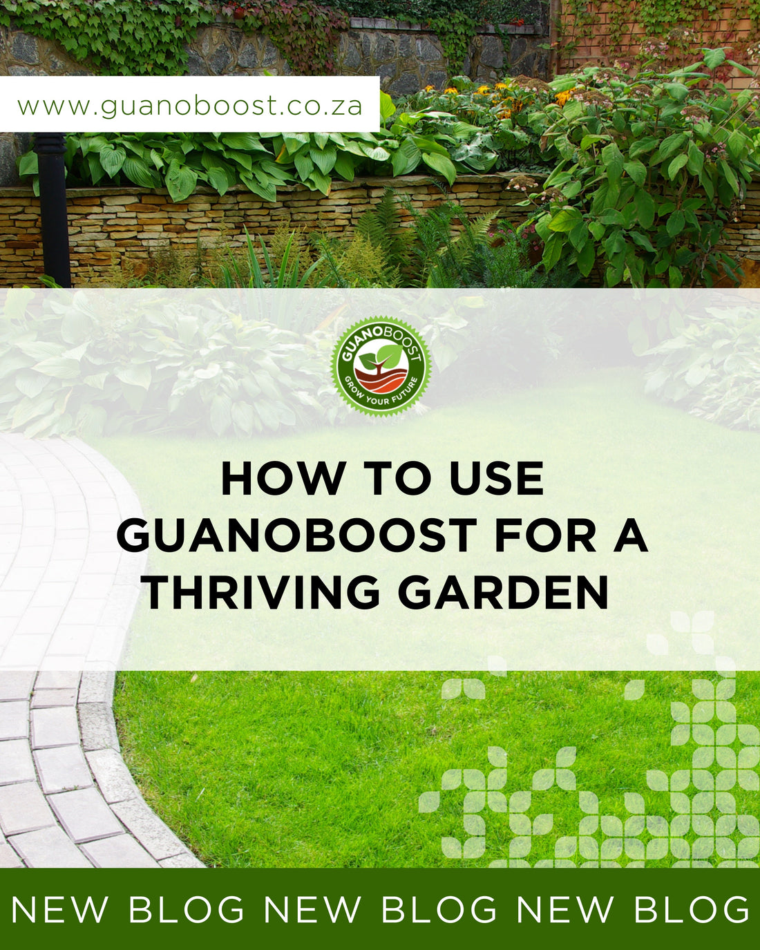 How to Use Guanoboost for a Thriving Garden