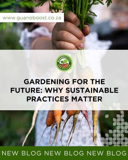 Gardening for the Future: Why Sustainable Practices Matter