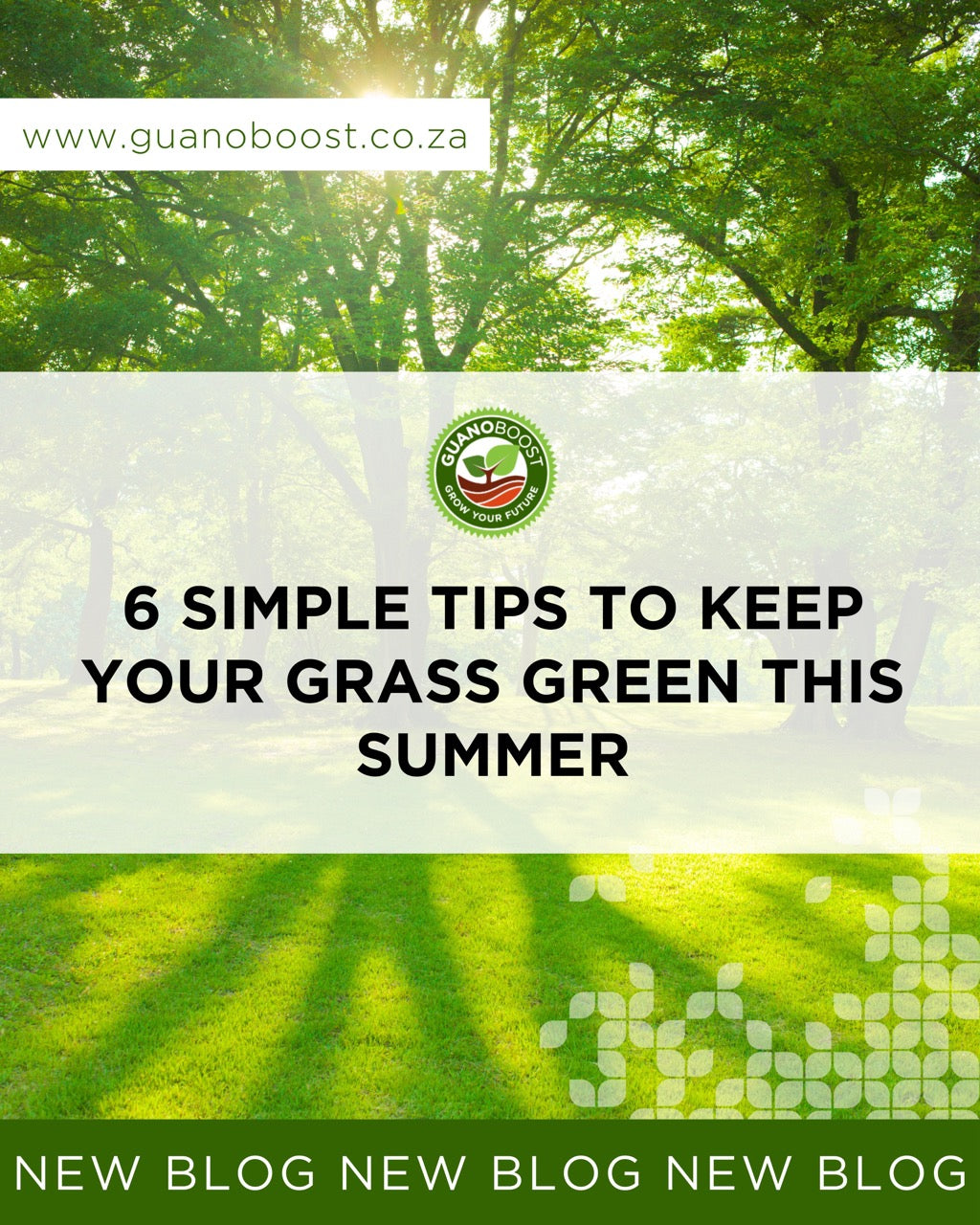 6 Simple Tips to Keep Your Grass Green This Summer