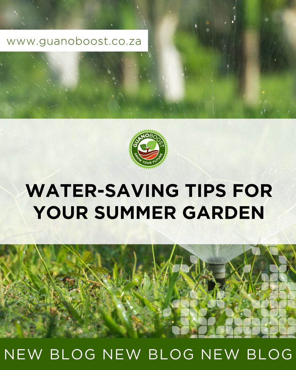 Water-Saving Tips for Your Summer Garden