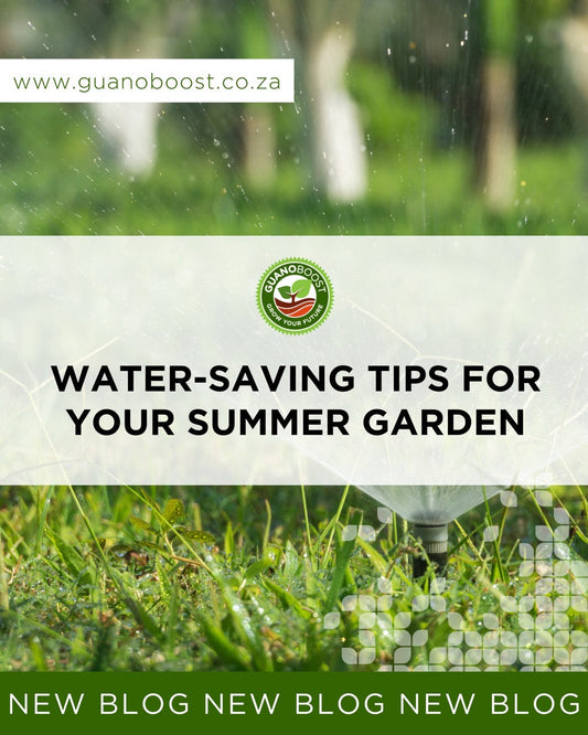 Water-Saving Tips for Your Summer Garden