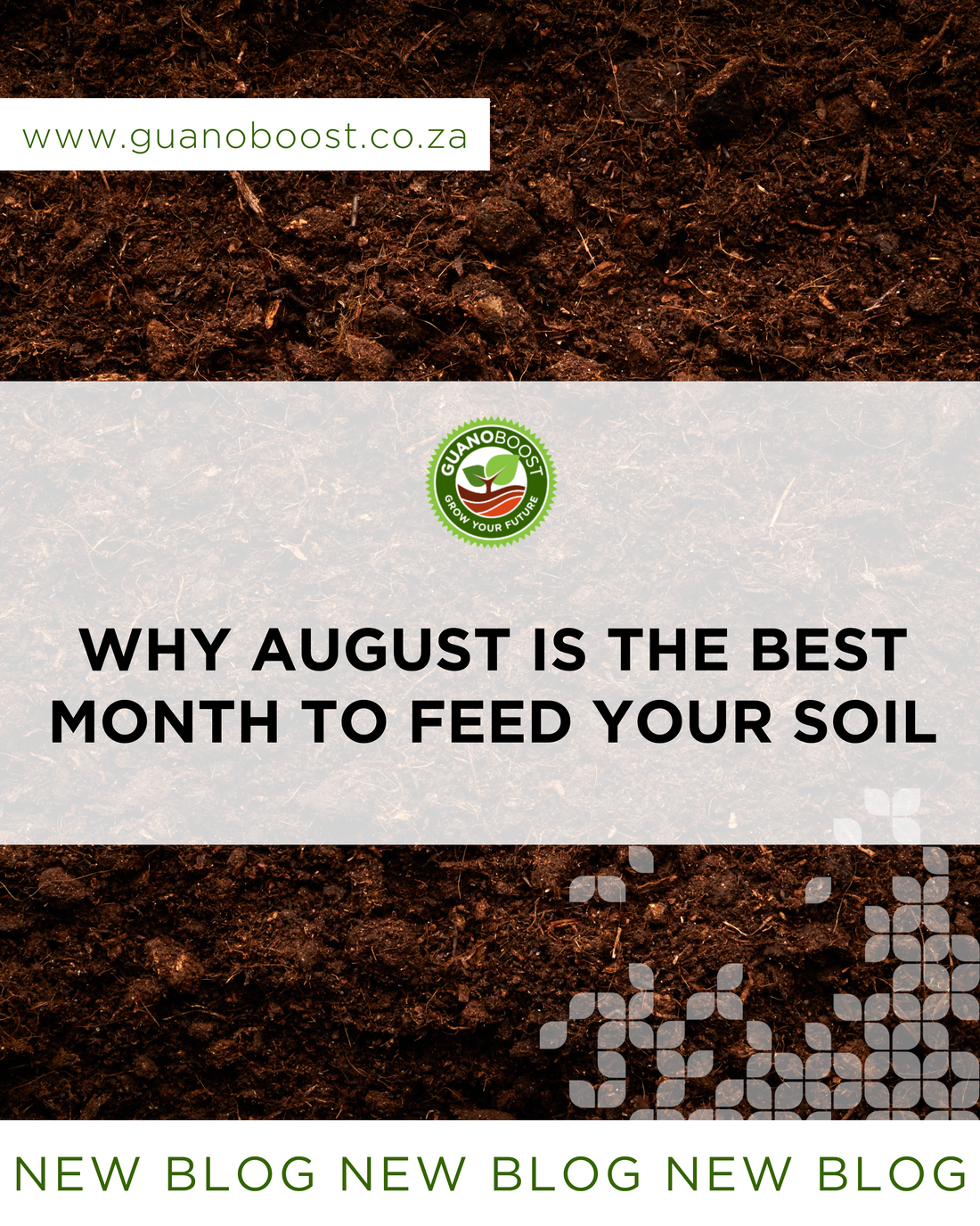 Why August is the Best Month to Feed Your Soil