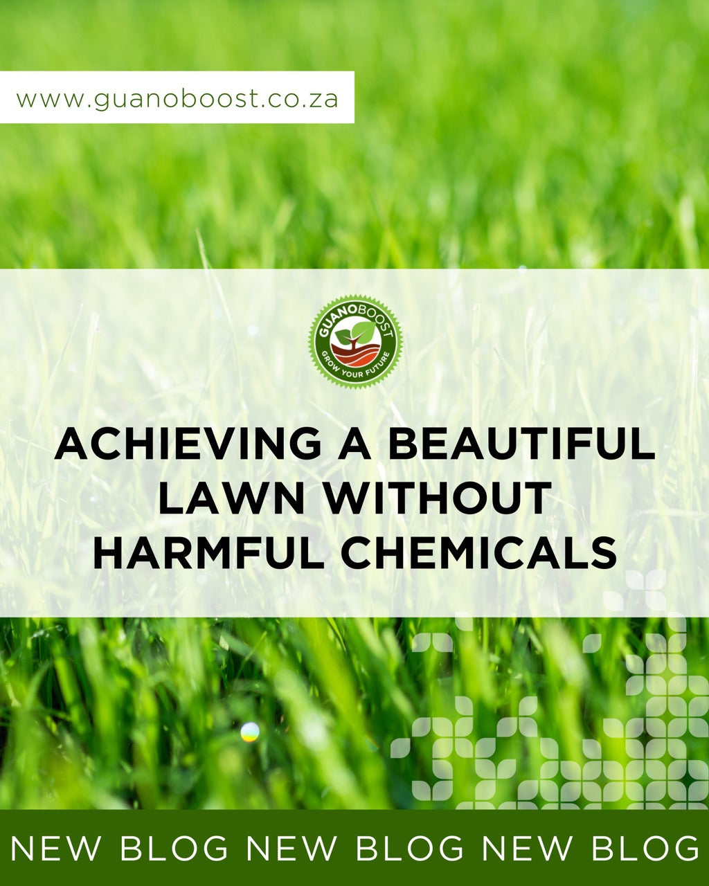 Achieving a Beautiful Lawn Without Harmful Chemicals