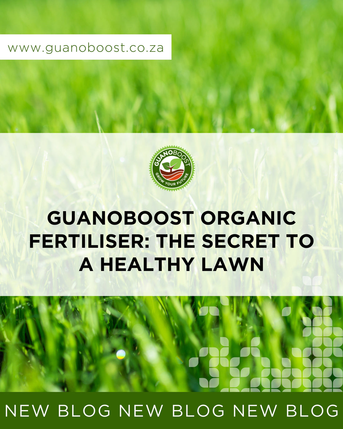 GuanoBoost Organic Fertiliser: The Secret to a Healthy Lawn