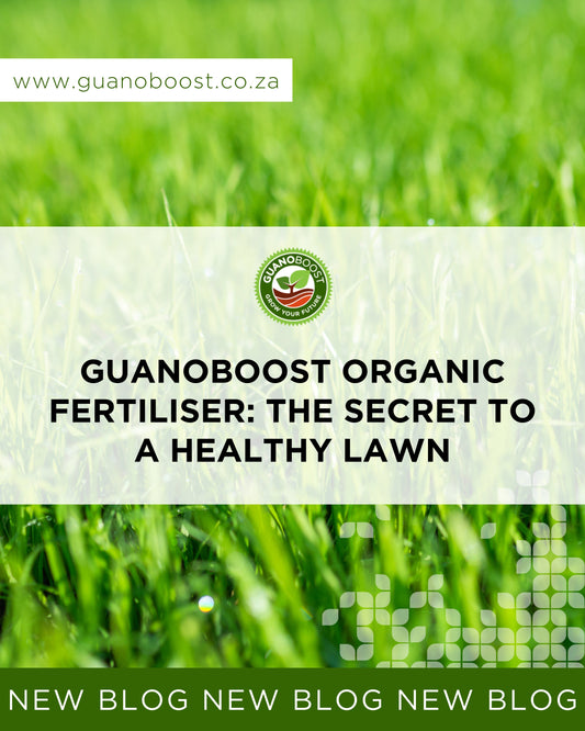 GuanoBoost Organic Fertiliser: The Secret to a Healthy Lawn
