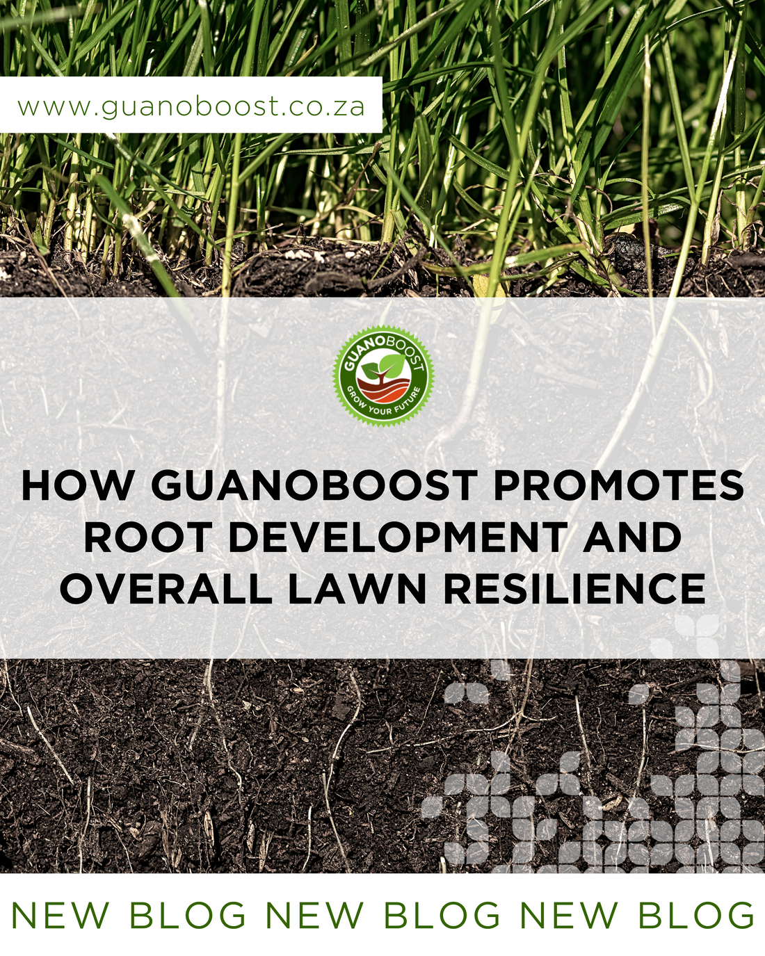 How GuanoBoost Promotes Root Development and Overall Lawn Resilience