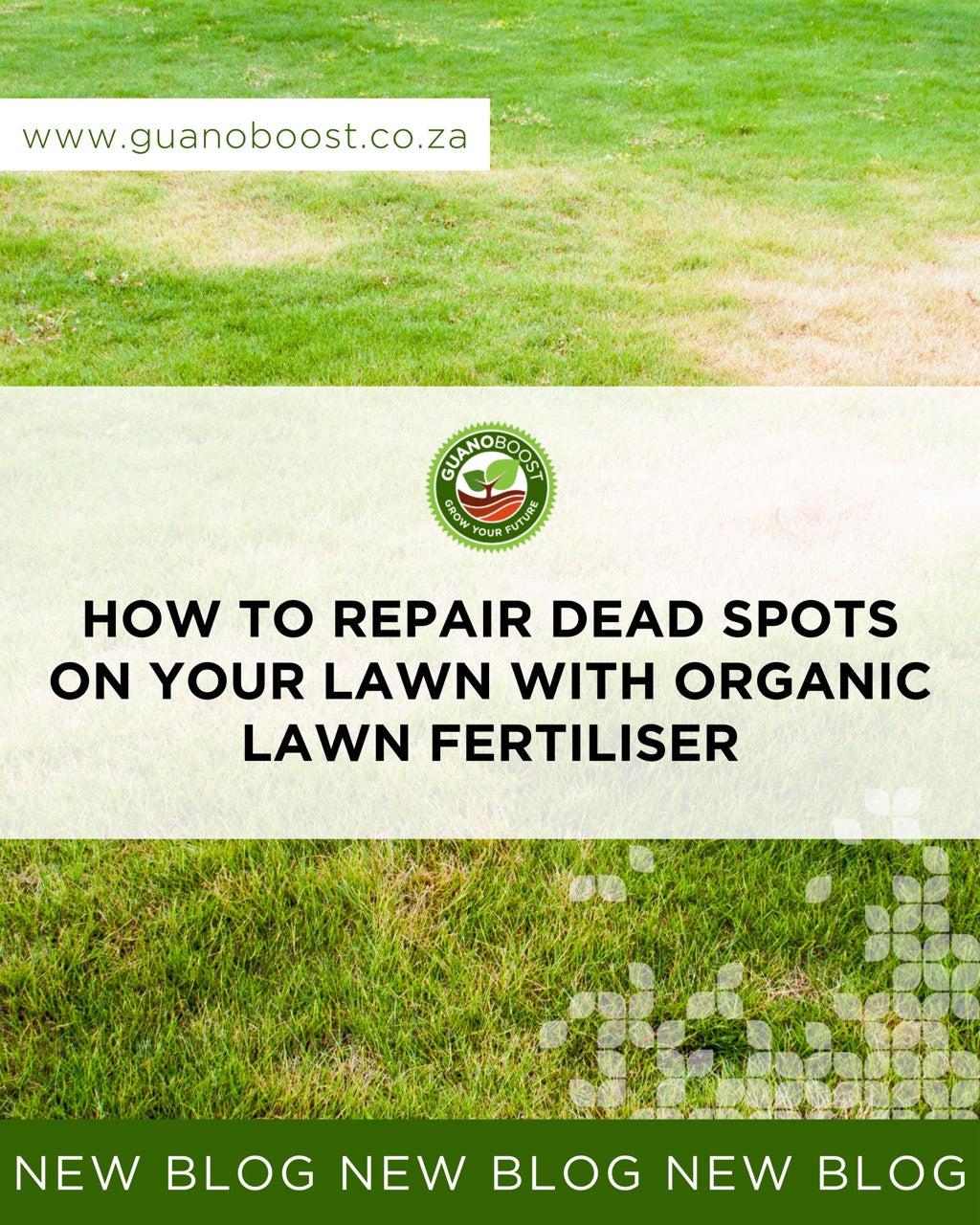 How to Repair Dead Spots on Your Lawn with Organic Lawn Fertiliser
