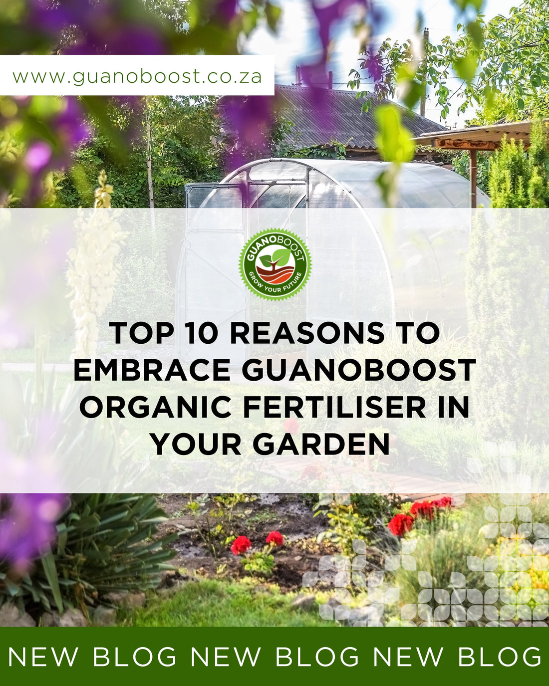 Top 10 Reasons to Embrace GuanoBoost Organic Fertiliser in Your Garden