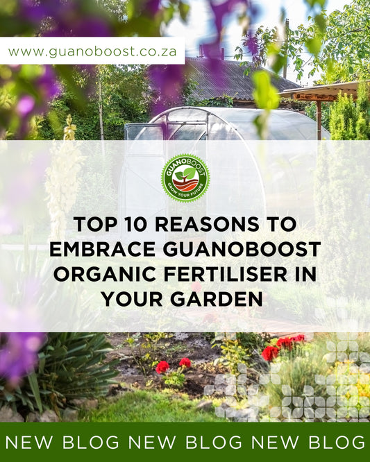 Top 10 Reasons to Embrace GuanoBoost Organic Fertiliser in Your Garden