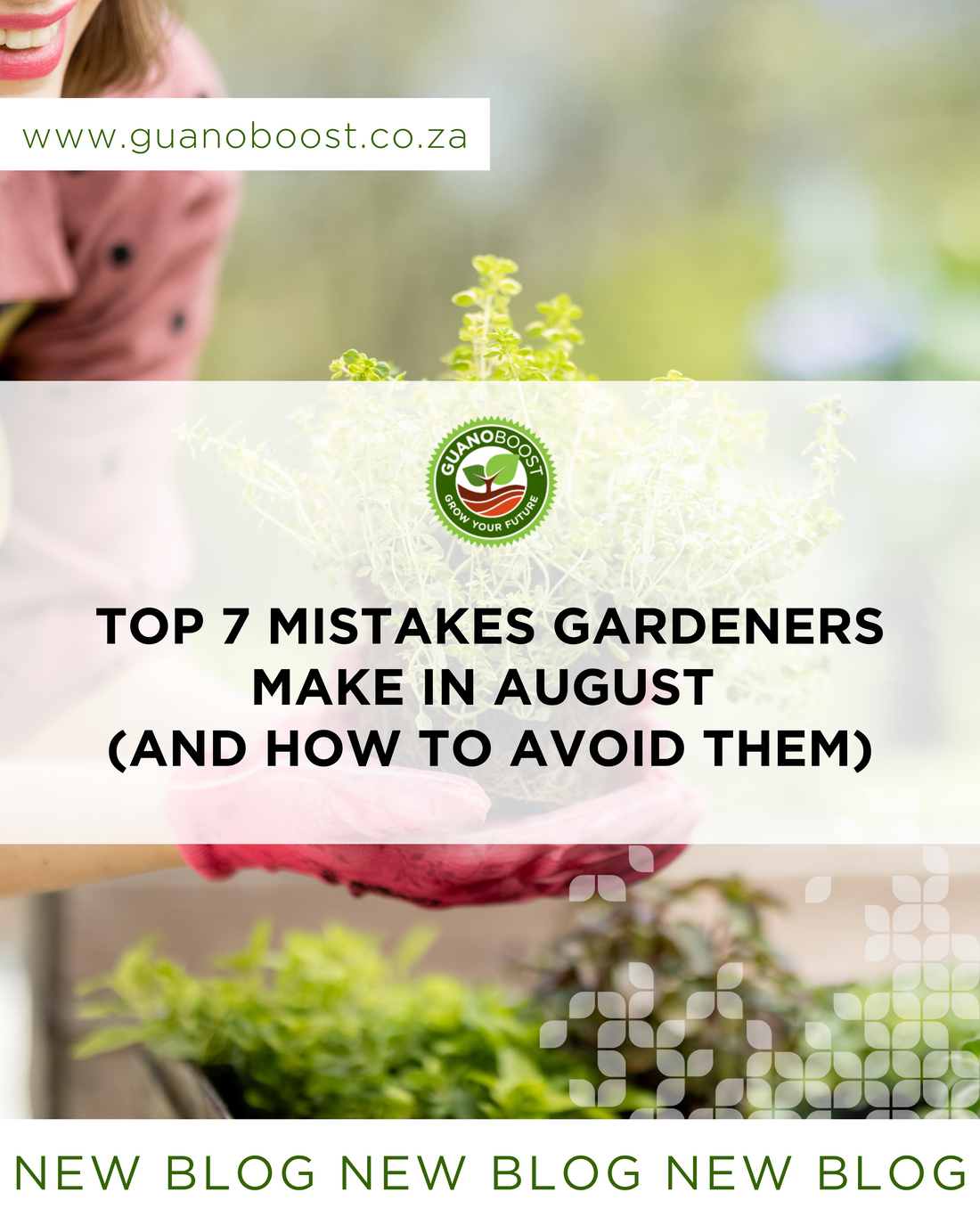 Top 7 Mistakes Gardeners Make in August (and How to  Avoid Them)