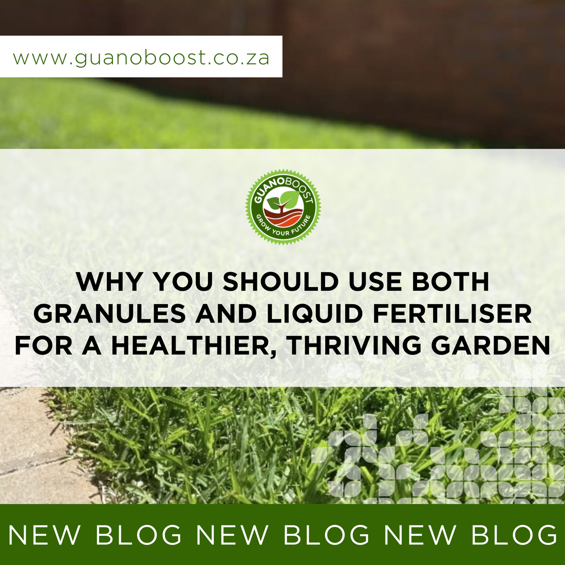 Why You Should Use Both Granules and Liquid Fertiliser for a Healthier, Thriving Garden