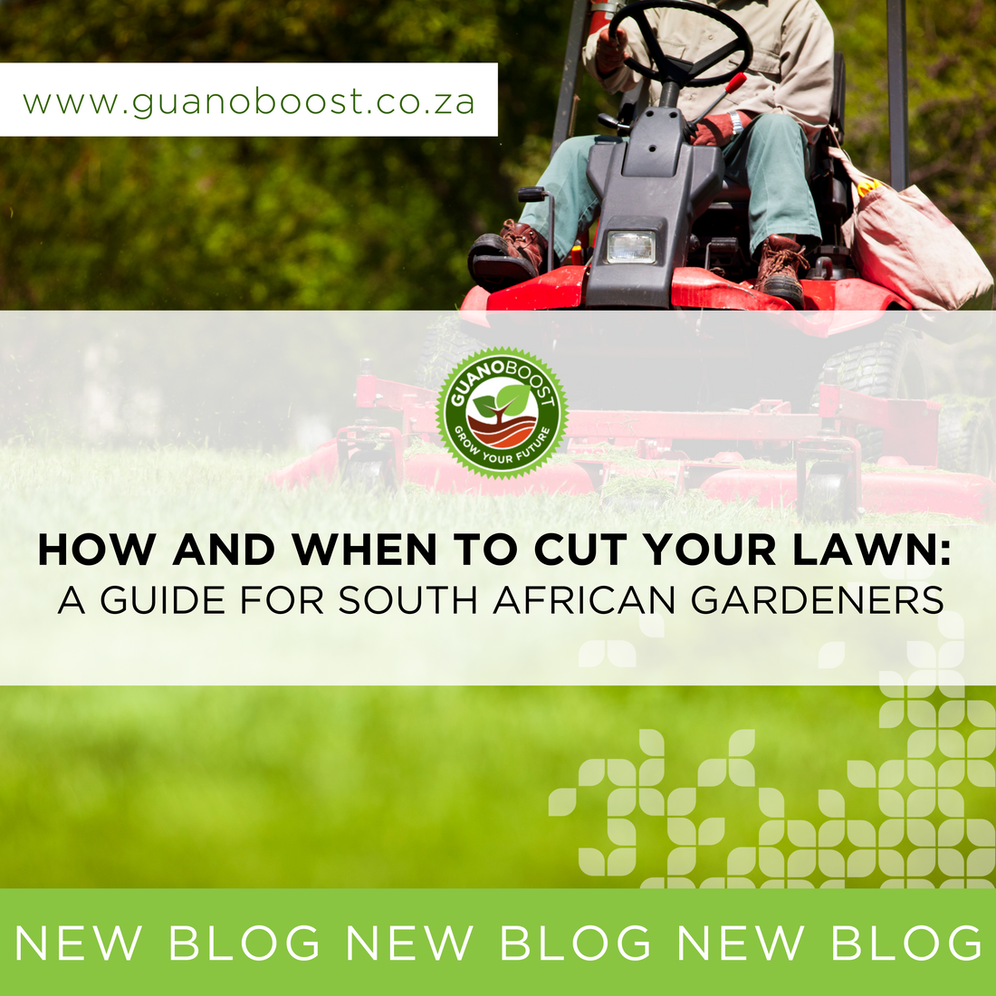 How and When to Cut Your Lawn: A Guide for South African Gardeners