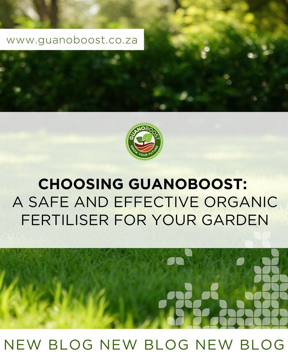 Choosing GuanoBoost: A Safe and Eﬀective Organic Fertiliser for Your Garden