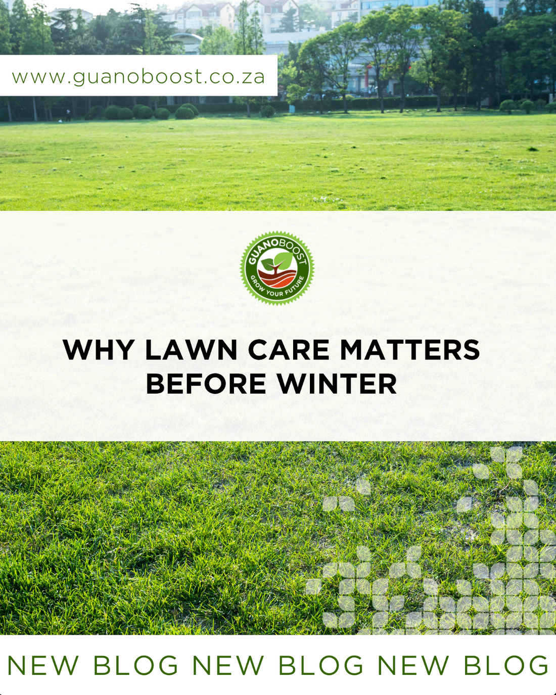 Why Lawn Care Matters Before Winter