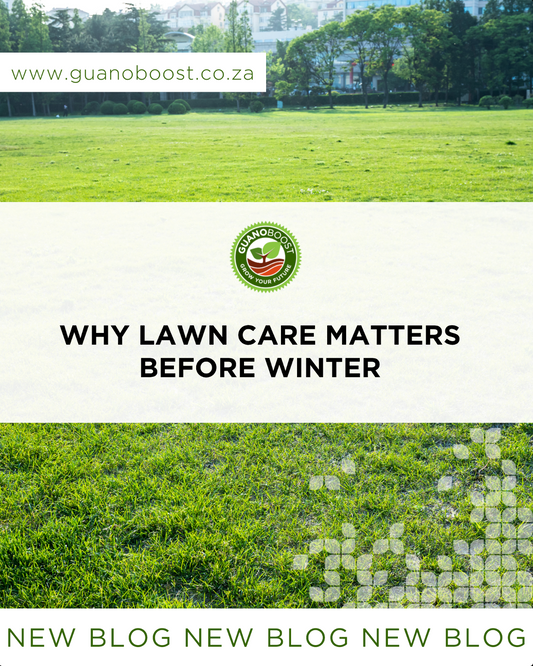 Why Lawn Care Matters Before Winter