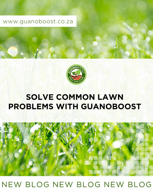 Solve Common Lawn Problems with GuanoBoost